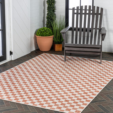 Aimee Traditional Cottage Checkerboard Indoor/Outdoor Area Rug